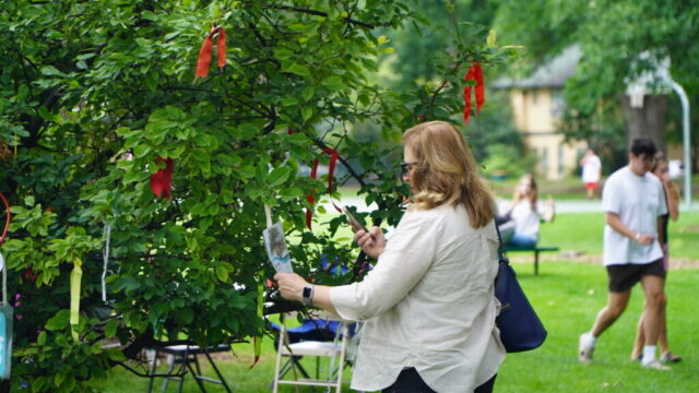 Turkish Festival - 2025